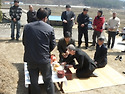 한식일13