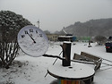 반가운 눈 오랜만에 보는 눈