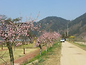 2013년 총회 3