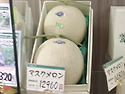 일본연수