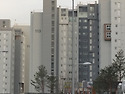 113동