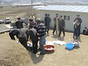 한식일9