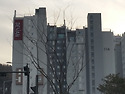 114동