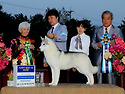 Best In Show