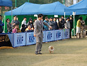 2011,04,17 안산 FCI ..