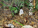 대추귀고둥-보호해양생물로..