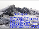 게시판 이용안내