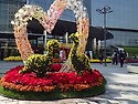 곡성 도림사 (사진 : 김형용 )