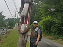 민주지산