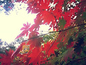 2015설악산 가을풍경~