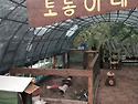 새로 이사간 토동이네