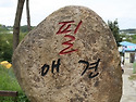 필애견훈련학교