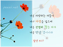 잠언 8:17