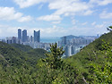 부산 장산(2020-0621)
