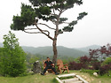 이안숲속