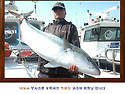 대부시리 시즌