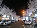 산책길에