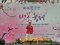 팔공산벗꽃축제