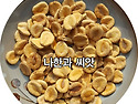 나한과 씨앗