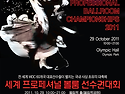 대회 포스터