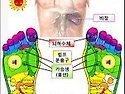 오장육보 가 건강하려면 발이 건강해야..