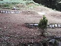 선산(시재 묘소) 벌초 완료