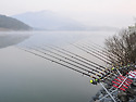 2015년 시조회