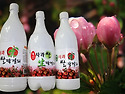 사과막걸리