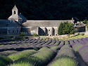 ABBAYE DE SENANQUE 