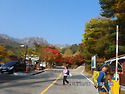 속리산 문장대 불타오르는 단풍