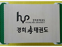 22 경희효태권도