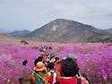 [대구여행] 산림청 선정 100대 명산 ..