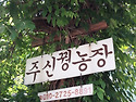 새봄이오면&#4514;또다른새 새명이&#4514;