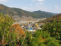 마을 뒷산에 올라가 봤습니다.