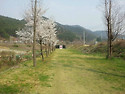 우리정 봄 여름