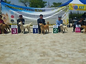 광주 전람회