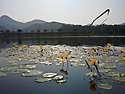 황룡강입니다~~