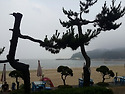 태안여행2015년7월25일~..