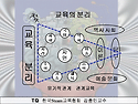 Steam교육 분리(교과별 융합관계)