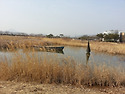 순천만을 가다
