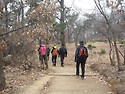 2014년 송년산행(14/12/28)
