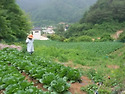 운학698