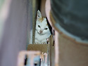 가게 뒤뜰에 아갱이 두마리 발견