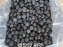 백작약 씨앗