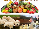 복날 반대 포스터 (무한공유 및 배포)