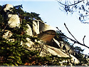 도봉산 망월사 산행