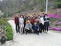 제25회 대의초등학교 총동문회및 체육대회/제36회동기회 춘계임시총회개최