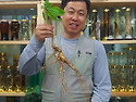 종급산삼들만 모여서,,,