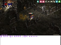 따이 샷