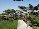 용화산 산림청100대명산